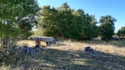 LOT - CANIAC DU CAUSSE - A LA DECOUVERTE DU CAUSSE- DES DOLMENS- DES IGUES...-lot