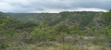 LES ROQUES ST VINCENT DE RIVES D'OLT 46140 13KM-lot