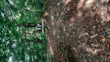 CIRCUIT DU SAUT GRAND. DéNIVé 330M-lot