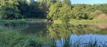 CASSAGNES 12.8KM 46700-lot