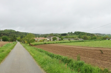 BEAUPUY - RANDONNéE DANS LES VIGNOBLES DU MARMANDAIS-lot-et-garonne