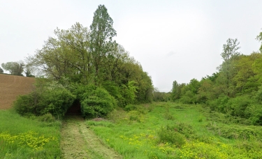 BEAUPUY - RANDONNéE DANS LES VIGNOBLES DU MARMANDAIS-lot-et-garonne