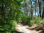 PARCOURS DU GUEDENIAU-maine-et-loire