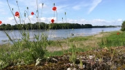 SAINTE-GEMMES-SUR-LOIRE-maine-et-loire