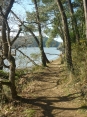BOUCLE AURAY-SAINT GOUSTAN - LE BONO 15 KM-morbihan