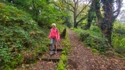 BRECH,  TOUR LONG-morbihan