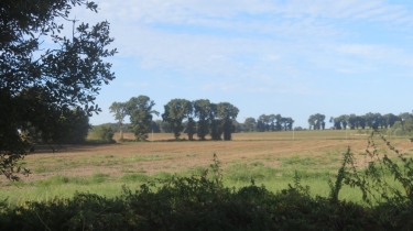 EVELLYS, CIRCUIT DE L'ILLYS
