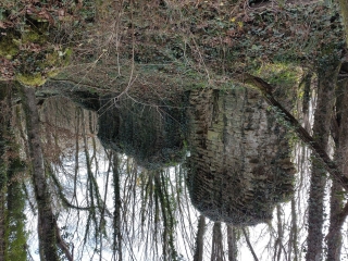 BOUCLE ST DIDIER-LA COUDRAYE-LYS-ST DIDIER-nievre