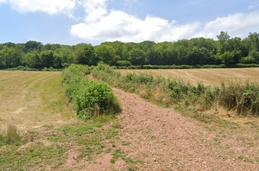 MONTIGNY-AUX-AMOGNES - BOUCLE MONTIGNOISE-nievre