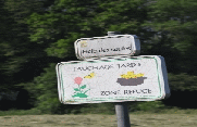 COUSOLRE - LA HAIE DES SAULES-nord