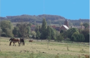 BOSCHEPE - AU DÉPART DE L ESTAMINET-nord