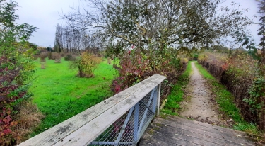 FACHES-THUMESNIL - LES PéRISEAUX ET PARCS URBAINS-nord