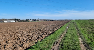 SAINGHIN-EN-MELANTOIS – BOUCLE DES CLOCHERS-nord