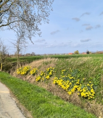 STEENWERCK - CIRCUIT DES CLINCHES-nord
