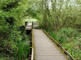 SANTES - LA GITE ET LES ANSEREUILLES