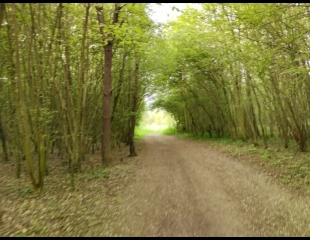 SANTES - LA GITE ET LES ANSEREUILLES-nord
