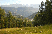 TETE DU POMMIER-alpes-maritimes