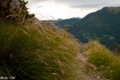 COL DE BLAINON-alpes-maritimes