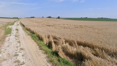 ABBECOURT – CRéCY-oise