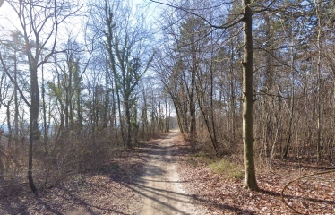 HERMES - PANORAMA DE LA TROUéE BLANCHE-oise