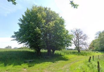 BEAULIEU-LES-FONTAINES - RANDONNéE DES ARCS-oise