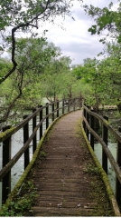 CUINCHY - BALADE DANS LES MARAIS-pas-de-calais