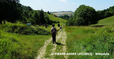 WAVRANS-SUR-L'AA - SENTIER DES GENéVRIERS-pas-de-calais