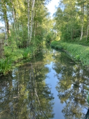 WINGLES - LES MARAIS-pas-de-calais