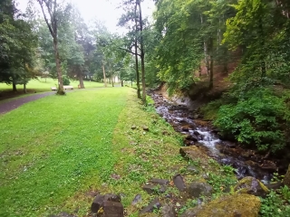 LA BOURBOULE 63 - BOIS DE LA BONSIERE-puy-de-dome