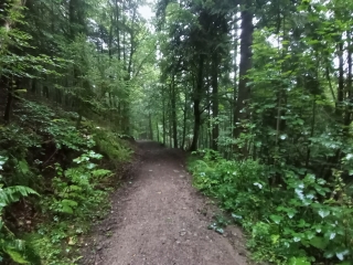 LA BOURBOULE 63 - BOIS DE LA BONSIERE-puy-de-dome