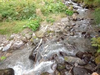 LE MONT DORE 63 - LE CAPUCIN ALT.1227M-puy-de-dome