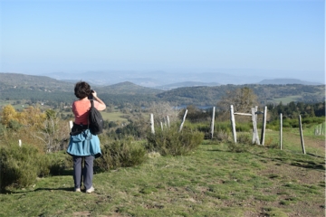 volcans-d-auvergne - PUY DE DOME - AYDAT - PUY DE COMBEGRASSE ET NARSE D’ESPINASSE