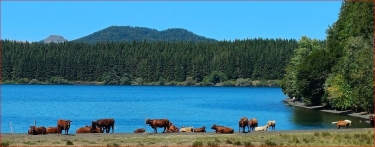 COMPAINS-puy-de-dome