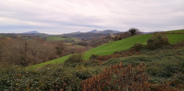 PAU - PRAC DU DOMAINE DE SERS-basque