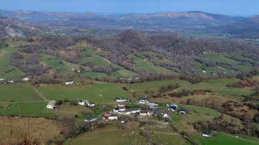 la-narbonnaise-en-mediterranee - LES ALLéES DE CHêNES
