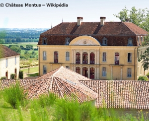 CASTELNAU-RIVIèRE-BASSE - DES VIGNES UN PAYSAGE-hautes-pyrenees