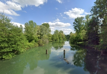 CASTELNAU-RIVIèRE-BASSE - FLâNERIE LE LONG DE L’ADOUR ET DU LOUET.-hautes-pyrenees