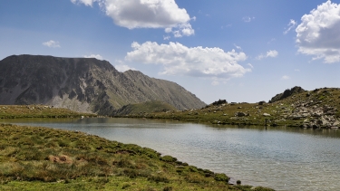 LA VALLEE DU CAMPCARDOS-po