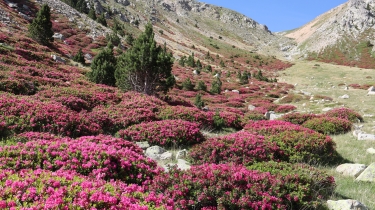 MANTET LA SERRA DE LA GALINERA-po