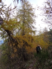 CORNEILLA DE CONFLENT FILLOLS PAR LE COL DE MILLèRES-po