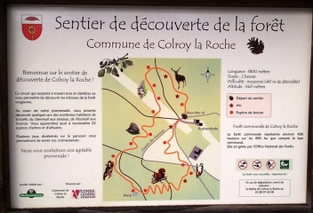 COLROY-LA-ROCHE - SENTIER DECOUVERTE DES CHARASSES-bas-rhin-strasbourg