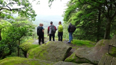 VOLLACH ENGLISHBERG SPARSBACH-bas-rhin-strasbourg