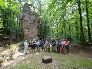 BALADE SUR LES HAUTEURS ENTRE ROTHBACH ET OFFWILLER