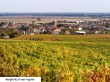 DE GUEBWILLER A ORSCHWIHR - ENTRE CARRIERES ET VIGNOBLE-haut-rhin