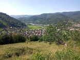 GRIESBACH AU VAL 68 - FORET DE GRIESBACH-haut-rhin