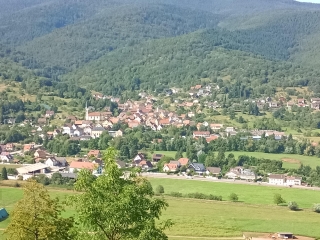 GRIESBACH AU VAL 68 - SENTIER DE LA SAPINIERE-haut-rhin