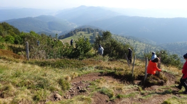 DE LA CHAUME DU LAUCHENKOPF (BREITFIRST) AU PETIT BALLON-haut-rhin