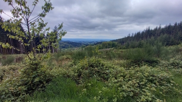 LA VILLE : UNE GRANDE BOUCLE DANS LES FORêTS DE L’OUEST RHODANIEN.-rhone