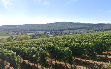 LUGNY – LE MACONNAIS PANORAMIQUE-saone-et-loire