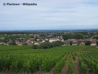 VIRé – LA MONTAGNE ET SON VIGNOBLE (7KM)-saone-et-loire